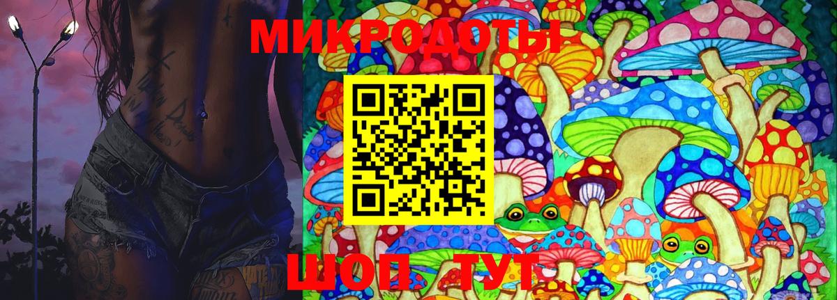 Псилоцибиновые грибы мицелий Петрозаводск