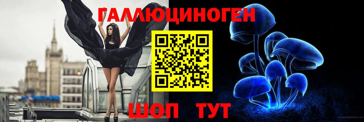 Галлюциногенные грибы Cubensis  Вход с VPN  Петрозаводск 